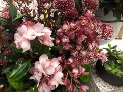 20180906_160515.jpg