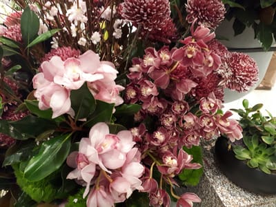 20180906_160517.jpg