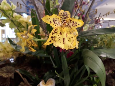 20180906_160556.jpg
