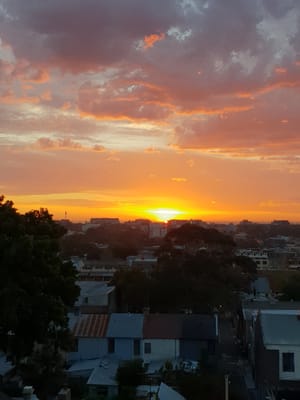20180912_174241.jpg