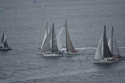 DSC_0737.JPG