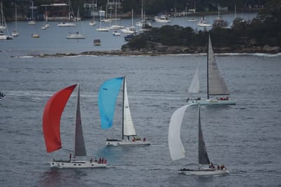 DSC_0738.JPG