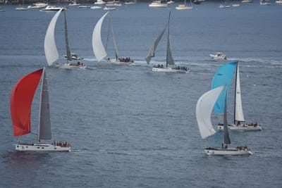DSC_0739.JPG