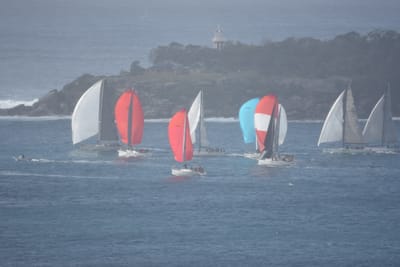 DSC_0742.JPG