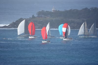 DSC_0742e.jpg