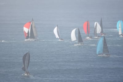 DSC_0746.JPG