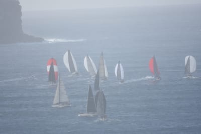 DSC_0748.JPG
