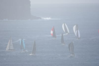 DSC_0749.JPG