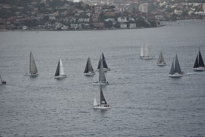 DSC_4690.JPG