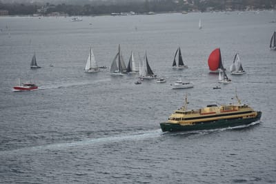 DSC_4691.JPG