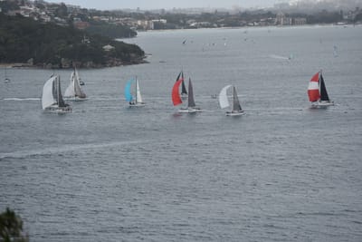 DSC_4693.JPG