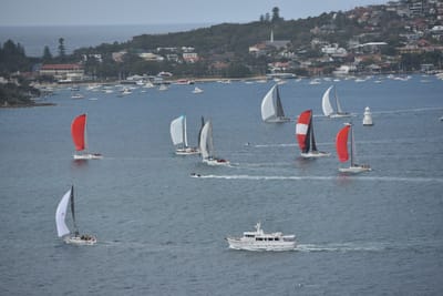 DSC_4695.JPG