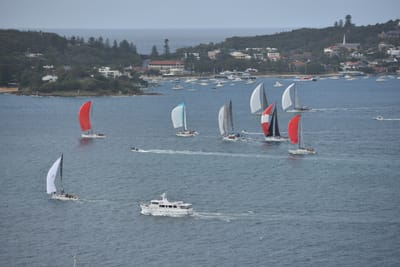 DSC_4696.JPG
