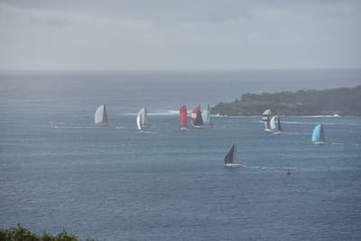DSC_4697.JPG