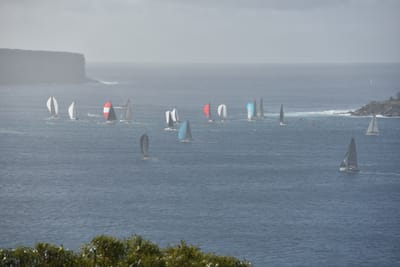 DSC_4702.JPG