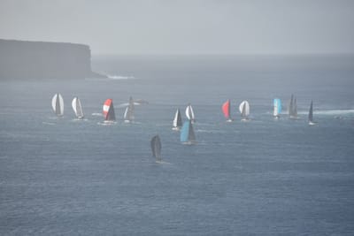 DSC_4703.JPG