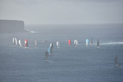 DSC_4704.JPG