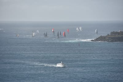 DSC_4710.JPG