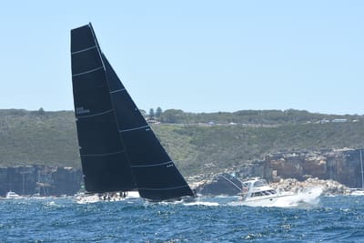 DSC_1488.JPG
