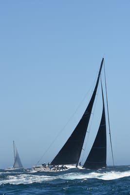 DSC_1491.JPG