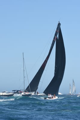 DSC_1497.JPG