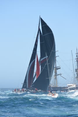 DSC_1504.JPG