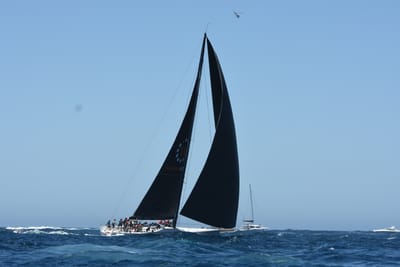 DSC_1517.JPG