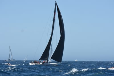 DSC_1518.JPG