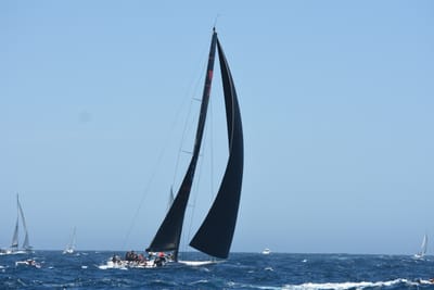 DSC_1519.JPG