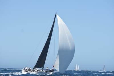 DSC_1528.JPG
