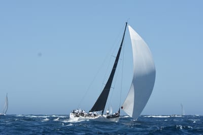DSC_1530.JPG