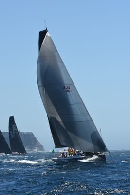 DSC_1531.JPG