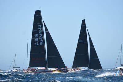 DSC_1541.JPG
