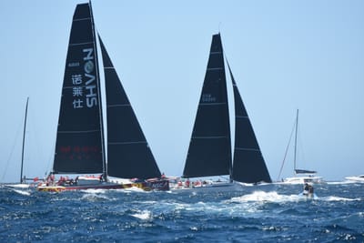 DSC_1542.JPG