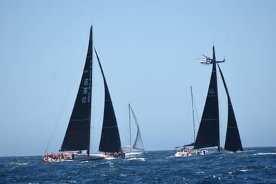 DSC_1545.JPG