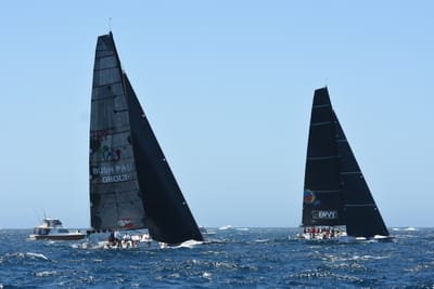 DSC_1548.JPG