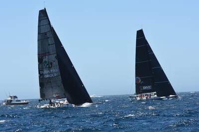 DSC_1549.JPG