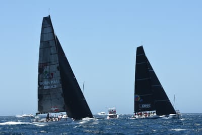 DSC_1551.JPG