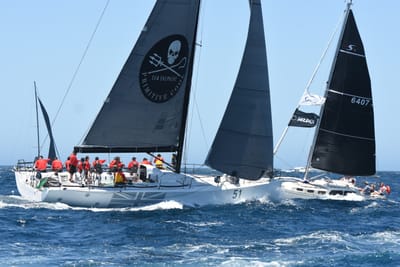 DSC_1553.JPG