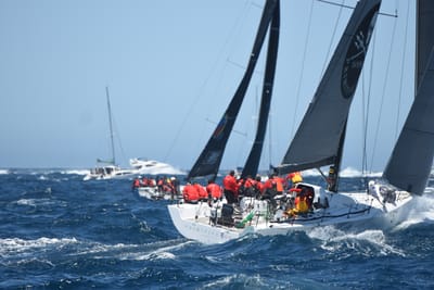 DSC_1557.JPG