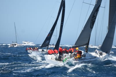 DSC_1558.JPG