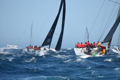 DSC_1560.JPG