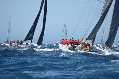 DSC_1561.JPG