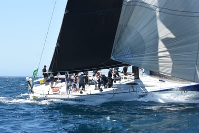 DSC_1563.JPG