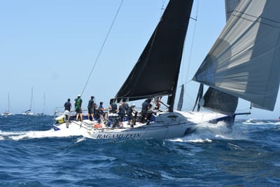 DSC_1567.JPG