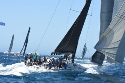 DSC_1569.JPG