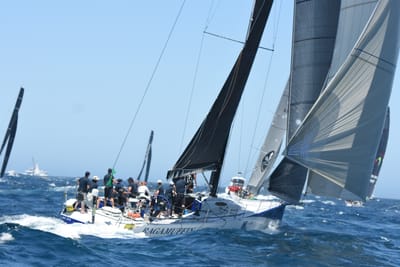DSC_1570.JPG