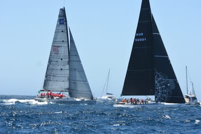 DSC_1575.JPG