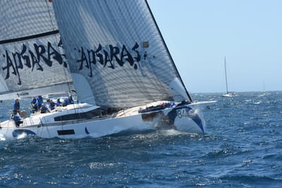DSC_1584.JPG