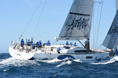 DSC_1587.JPG